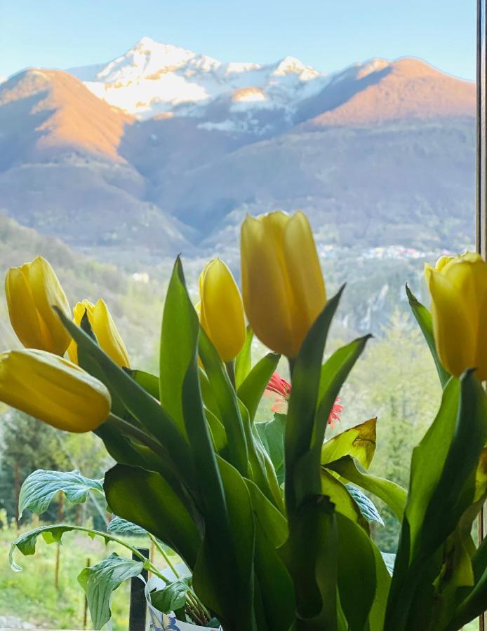 Casa Brencio Bed and Breakfast Masera Εξωτερικό φωτογραφία